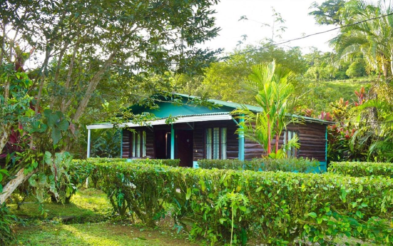 Posada Rio Celeste La Amistad Exterior photo