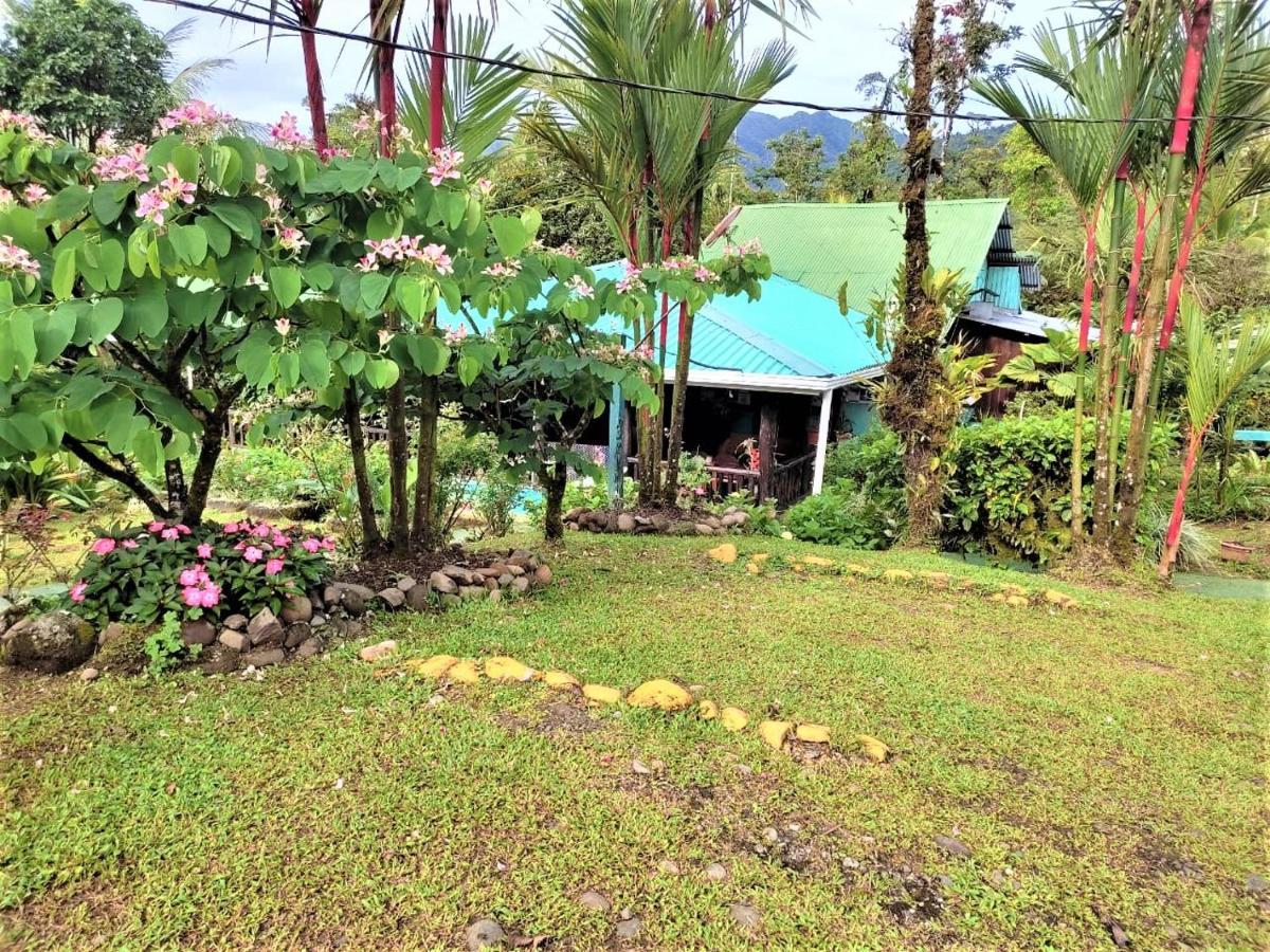 Posada Rio Celeste La Amistad Exterior photo