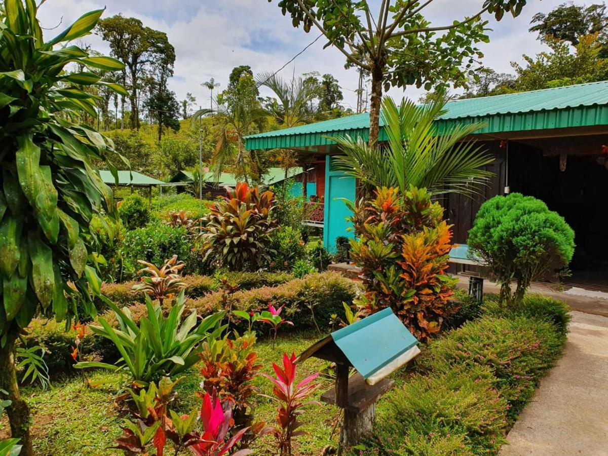 Posada Rio Celeste La Amistad Exterior photo