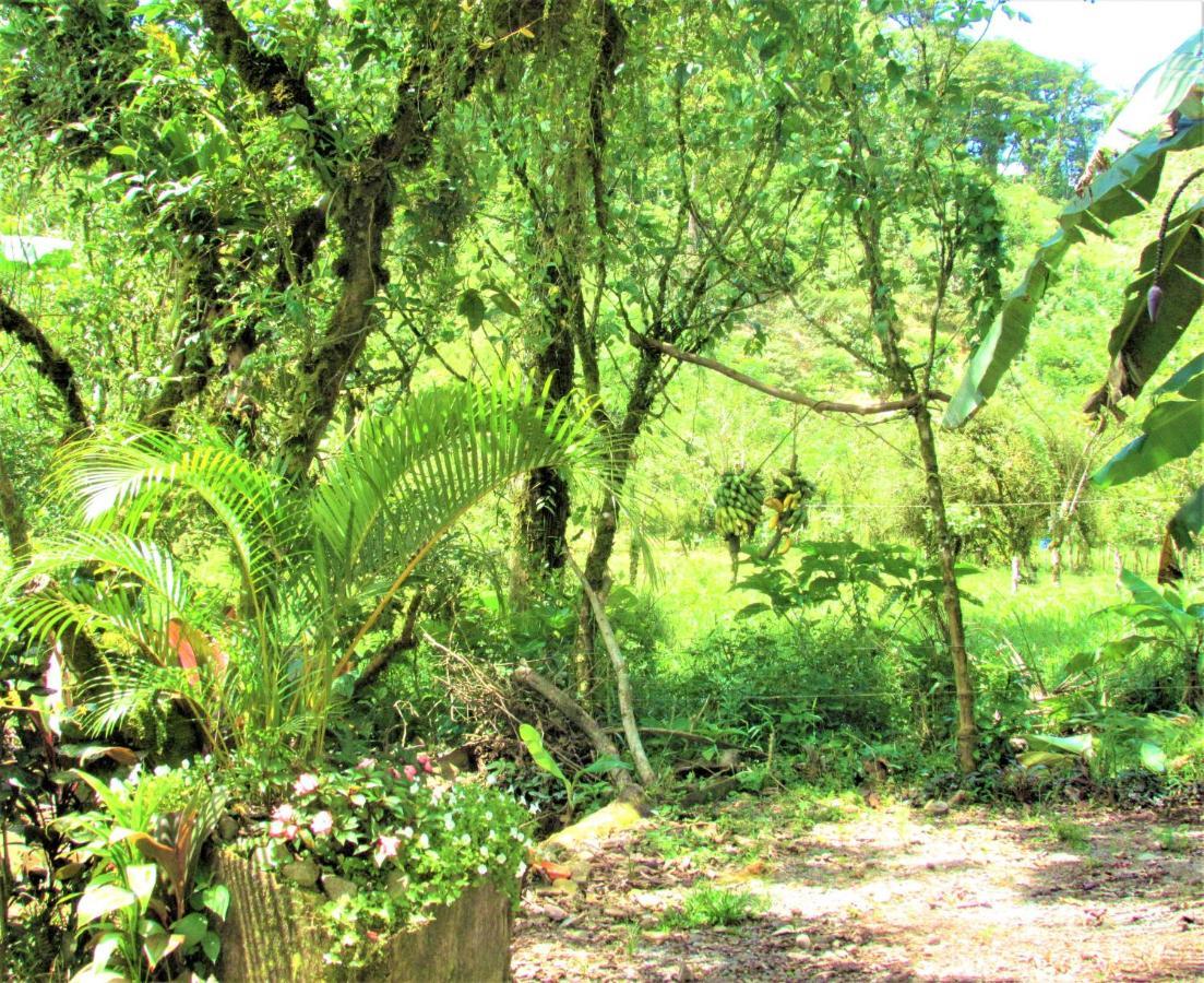 Posada Rio Celeste La Amistad Exterior photo