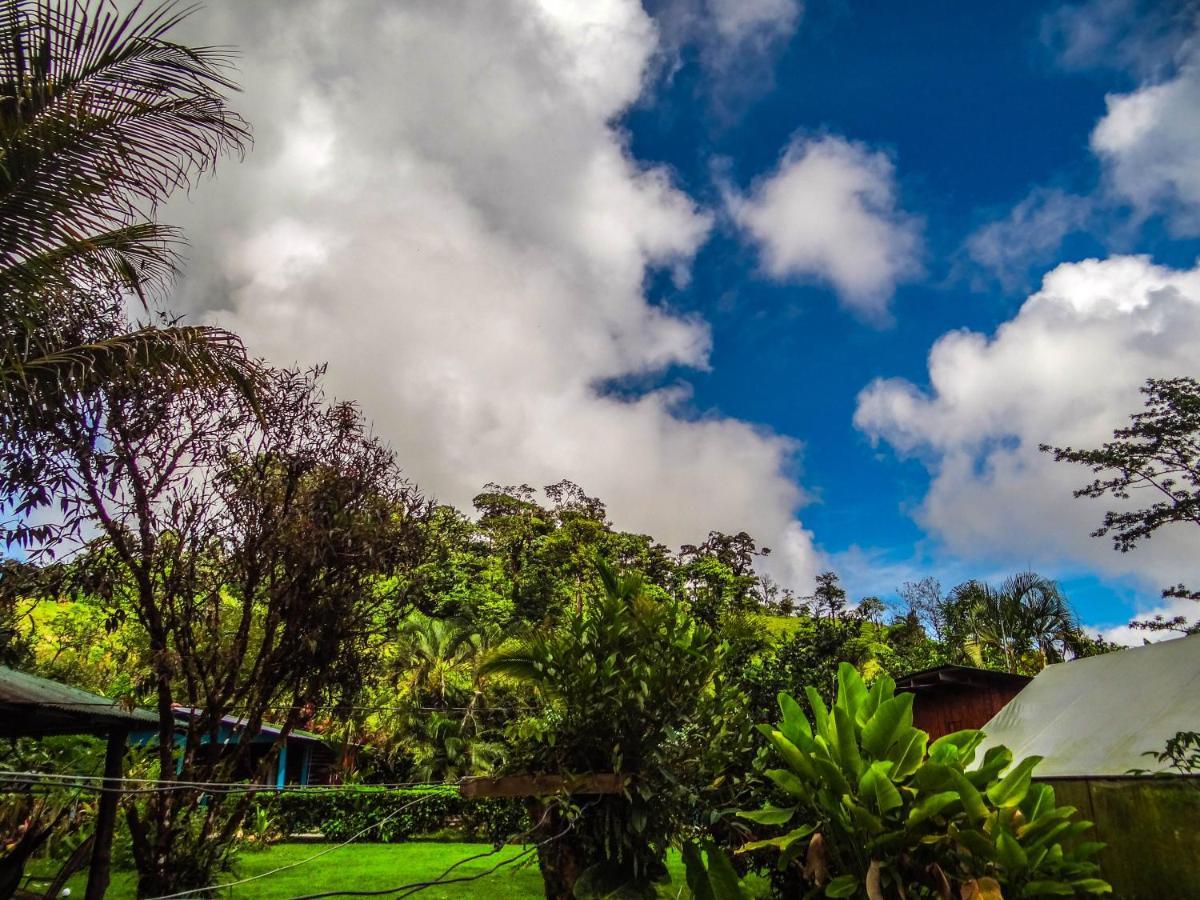 Posada Rio Celeste La Amistad Exterior photo