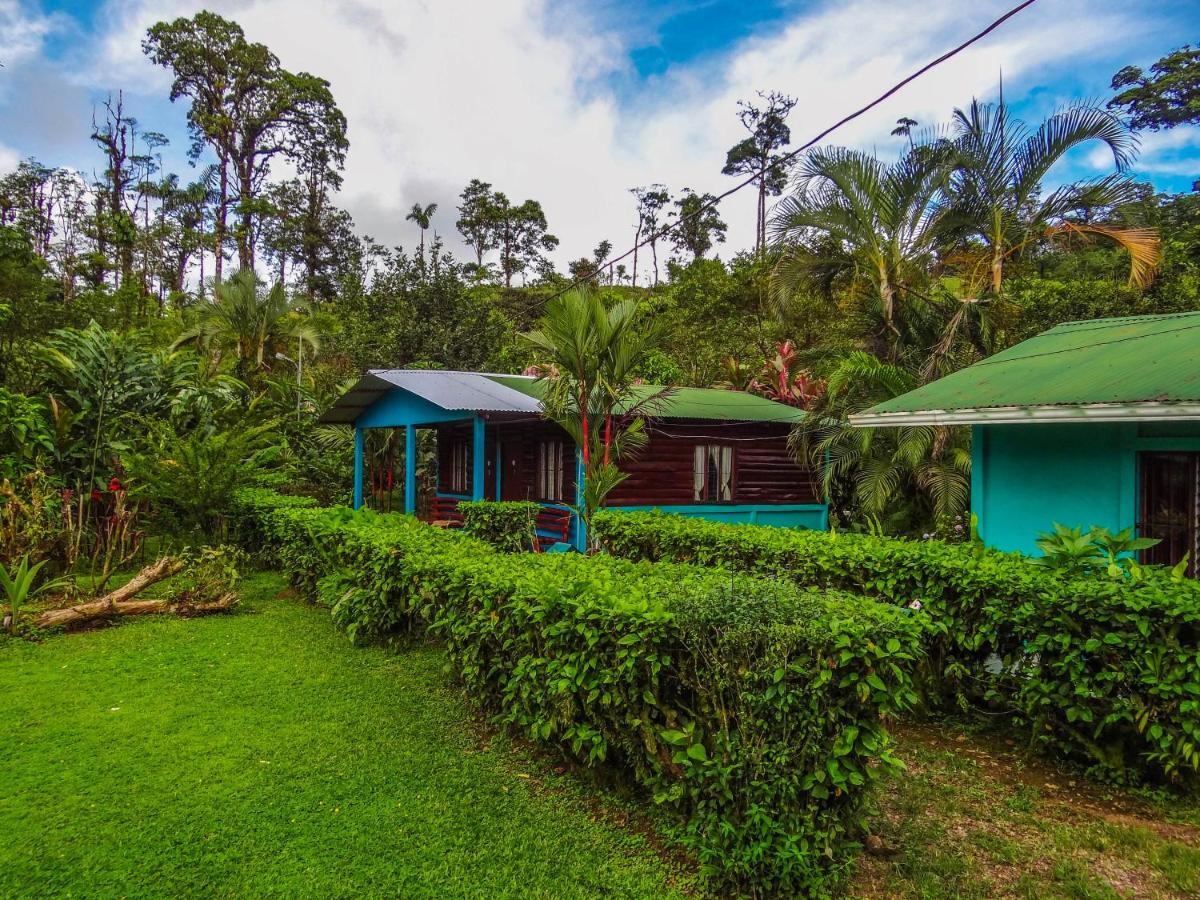 Posada Rio Celeste La Amistad Exterior photo