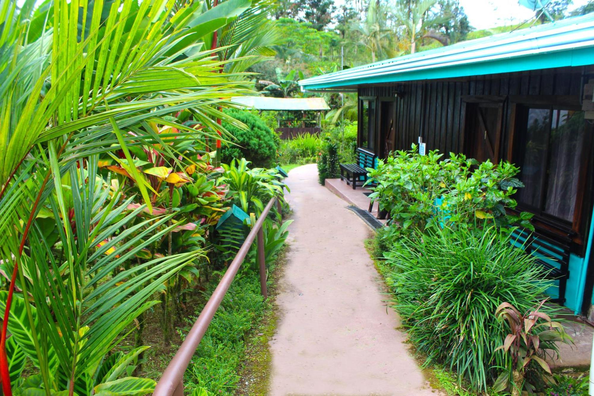 Posada Rio Celeste La Amistad Exterior photo